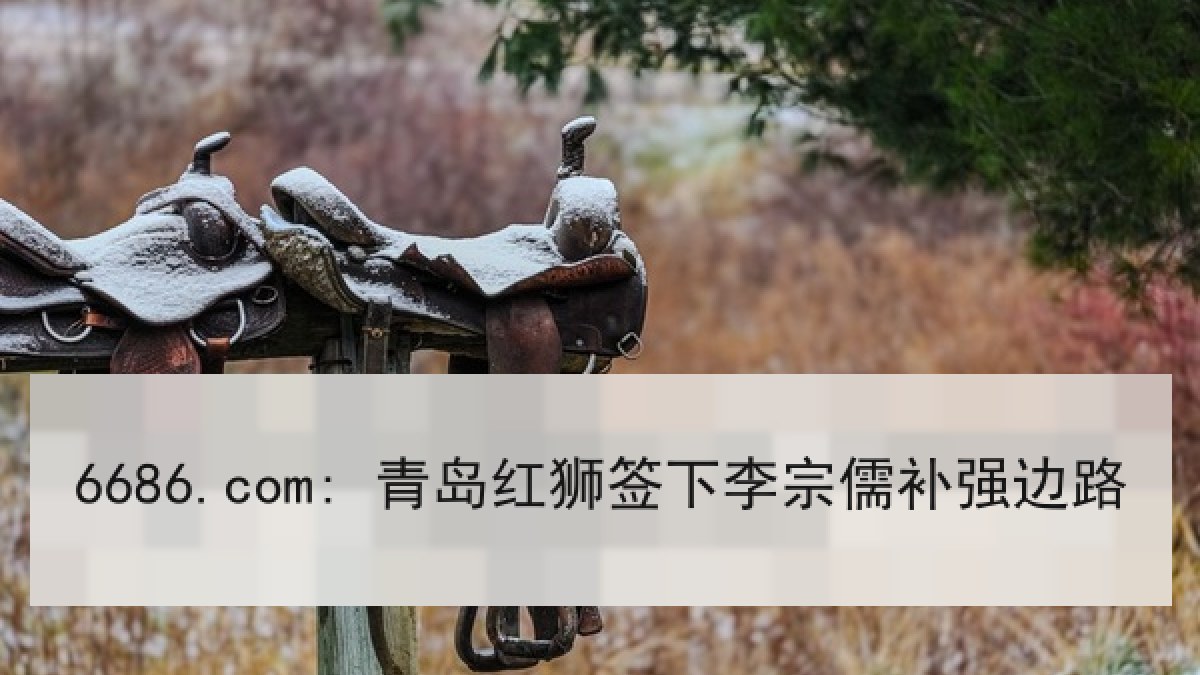 6686.com: 青岛红狮签下李宗儒补强边路