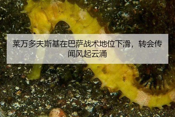 lai-wan-duo-fu-si-ji-zai-ba-sa-zhan-shu-di-wei-xia-hua-zhuan-hui-chuan-wen-feng-qi-yun-yong-2-256.jpg