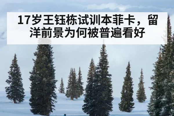 17岁王钰栋试训本菲卡，留洋前景为何被普遍看好